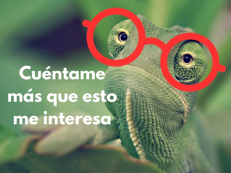 Estrategias de retención en Marketing Digital como me ayuda el marketing en mi empresa