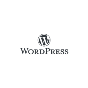 diseño web wordpress