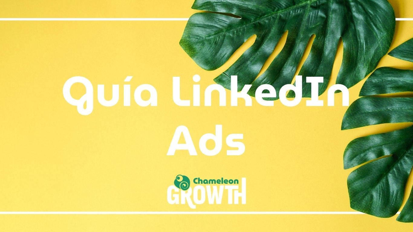 guia per fer campanya a linkedin ads