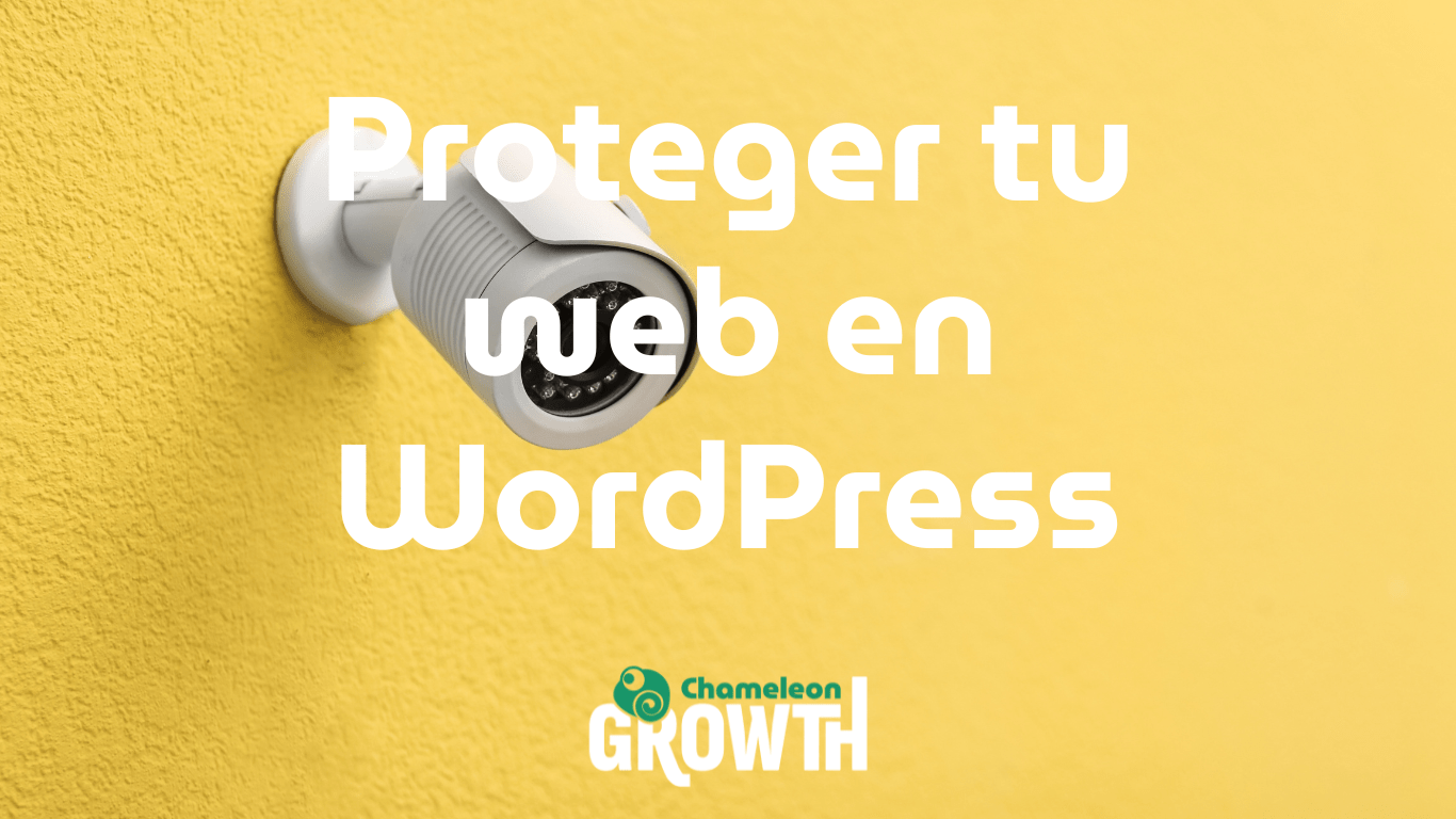 protegir web wordpress