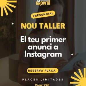 taller presencial gestio de xarxes socials i anuncis a instagram